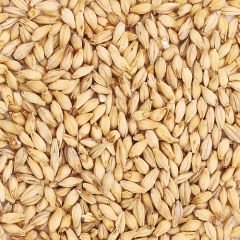 up close view of Briess Carapils preground malt used by micro breweries